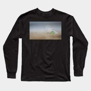 Two Shards of Sea Glass Together in the Sand Long Sleeve T-Shirt